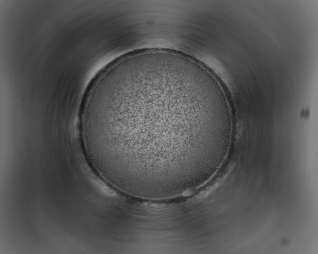 X0000101430928200807141238