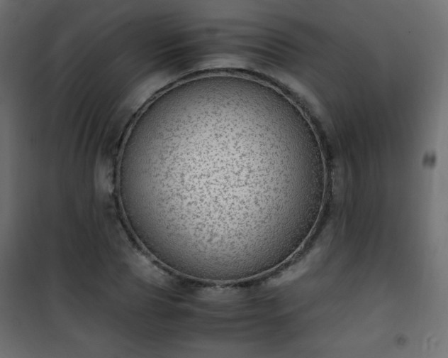 X0000101430929200807141238