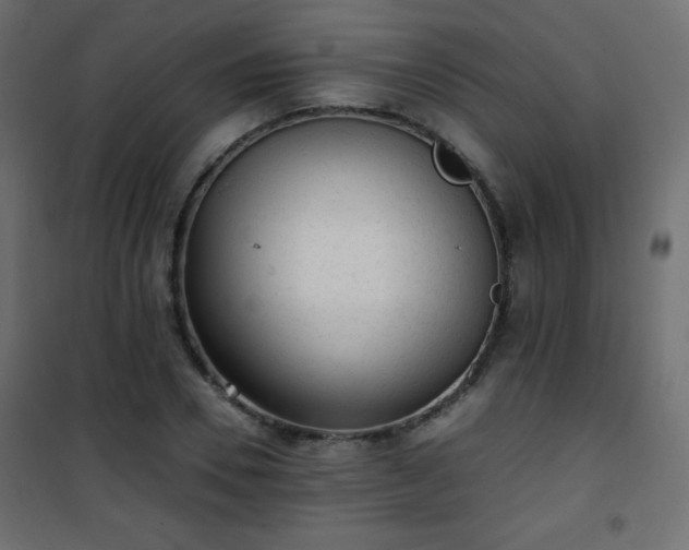 X0000101430930200807141238