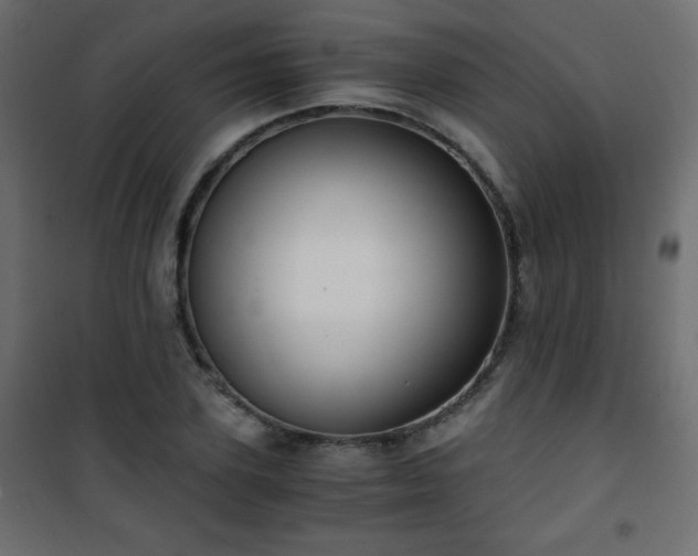 X0000101430931200807141238