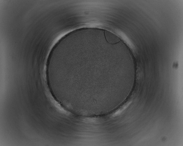 X0000101430932200807141238