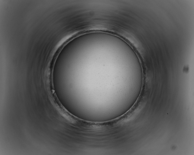 X0000101430933200807141238