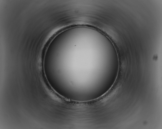 X0000101430934200807141238