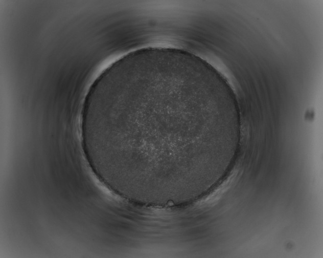 X0000101430935200807141238