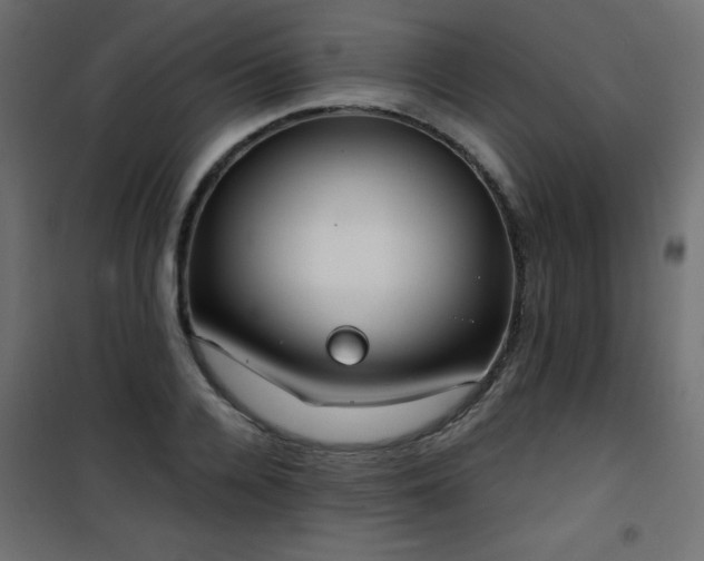 X0000101430936200807141238