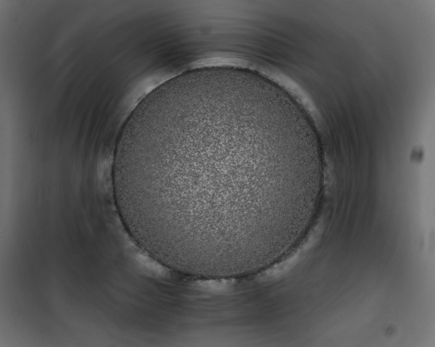 X0000101430937200807141238
