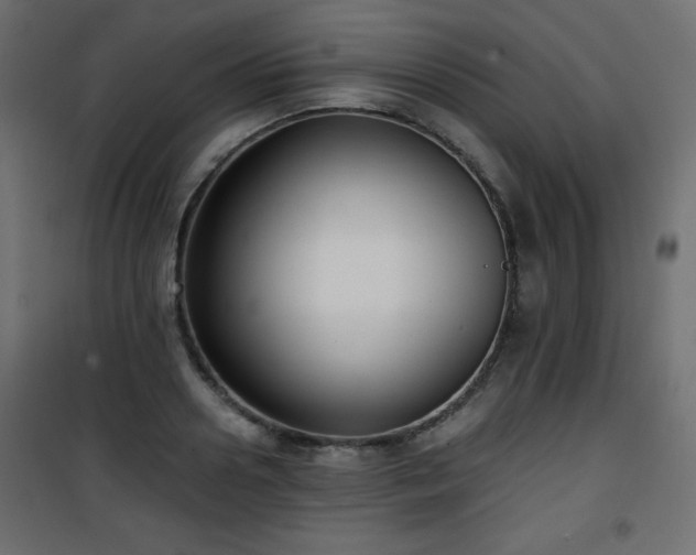 X0000101430938200807141238