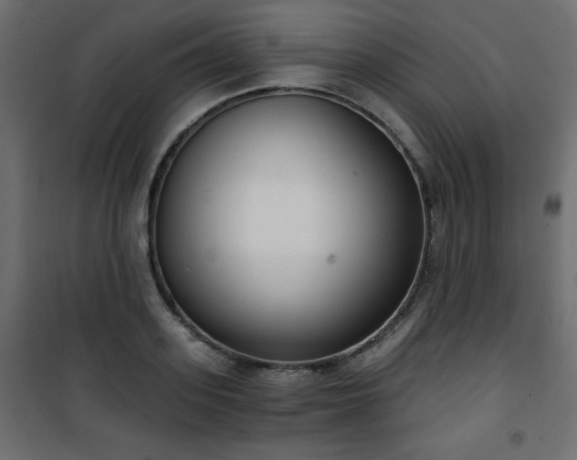 X0000101430939200807141238