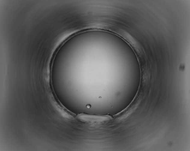 X0000101430940200807141238
