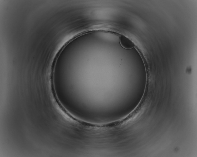 X0000101430941200807141238