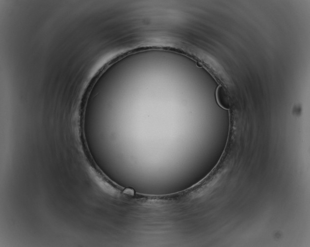 X0000101430942200807141238