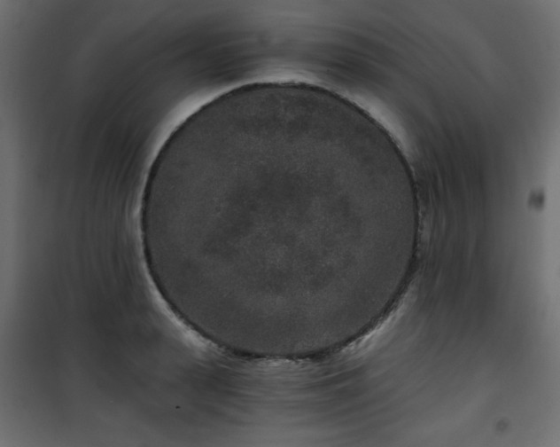 X0000101430943200807141238