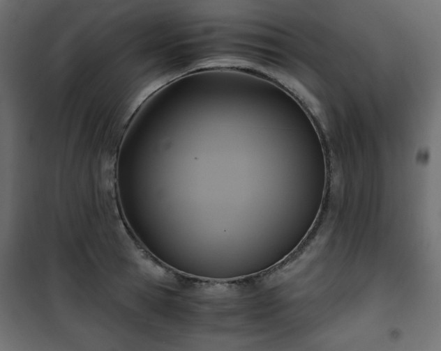 X0000101430945200807141238