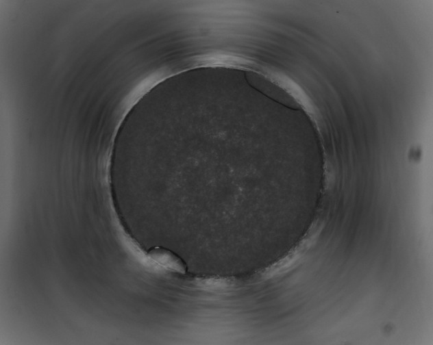 X0000101430946200807141238