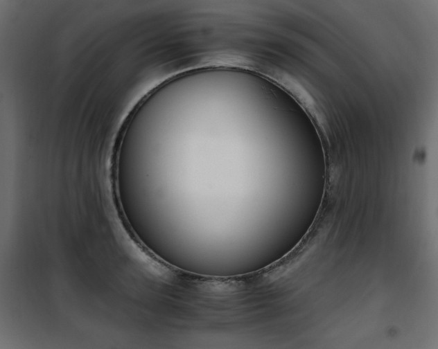 X0000101430947200807141238