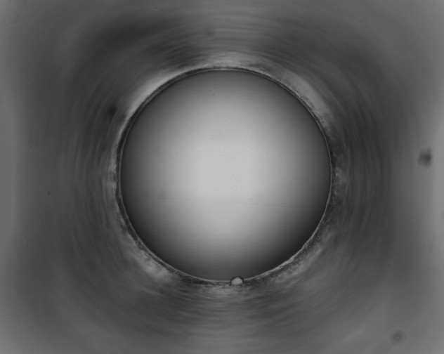 X0000101430948200807141238