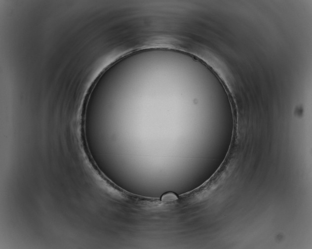 X0000101430949200807141238