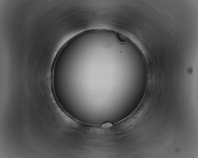 X0000101430951200807141238
