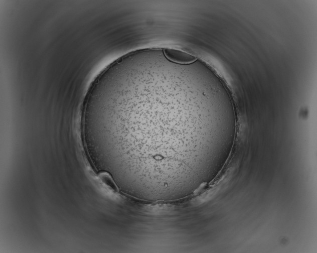 X0000101430952200807141238