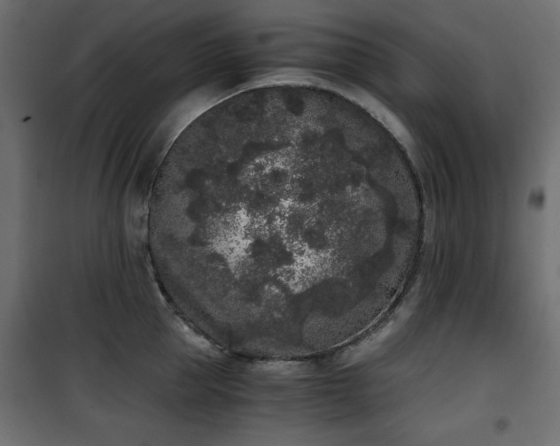 X0000101430953200807141238