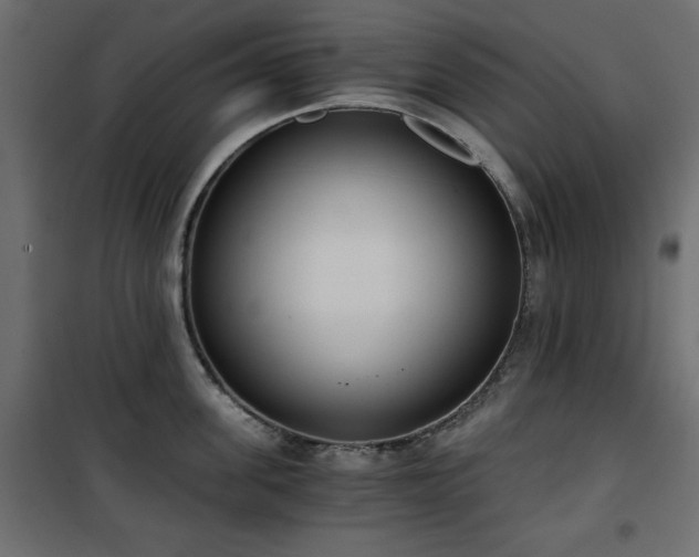X0000101430955200807141238