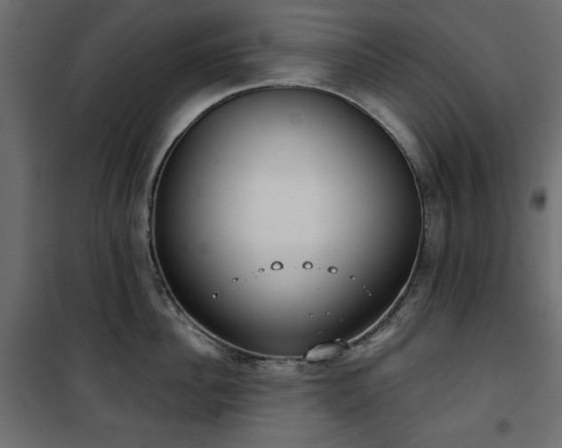 X0000101430956200807141238
