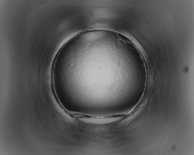 X0000101430957200807141238