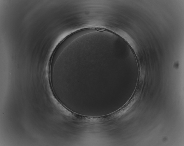 X0000101430958200807141238