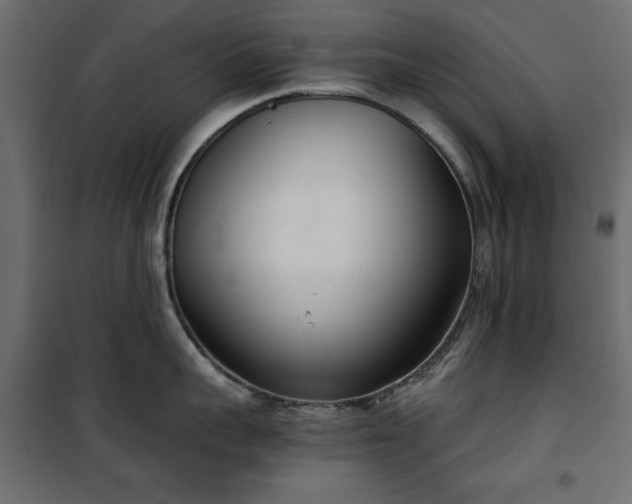 X0000101430959200807141238