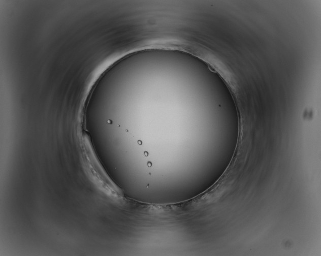 X0000101430960200807141238