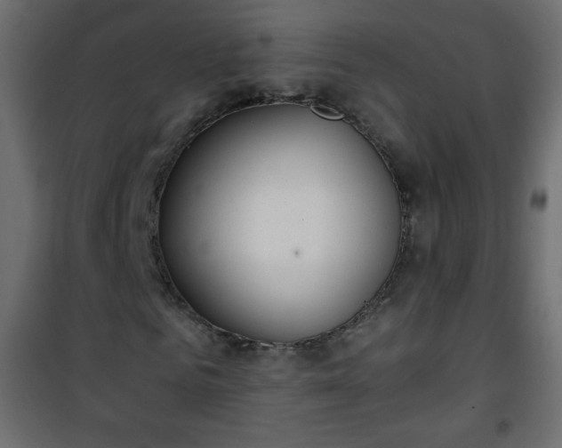 X0000101430961200807141237