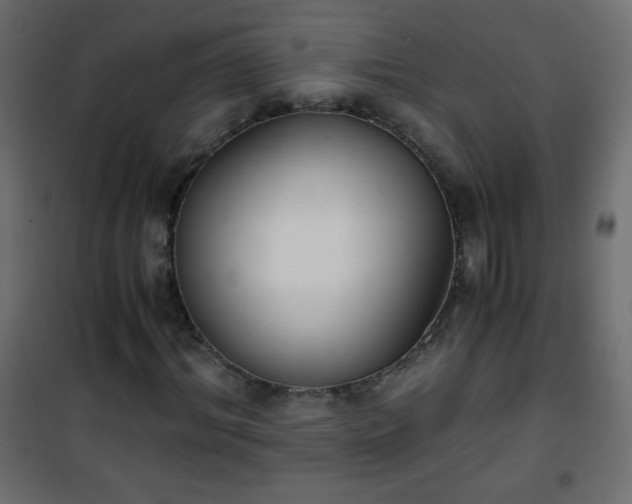 X0000101430964200807141237