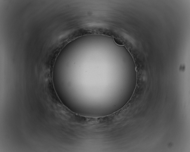 X0000101430965200807141237