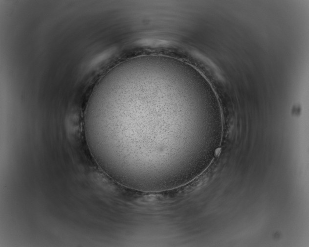 X0000101430966200807141237