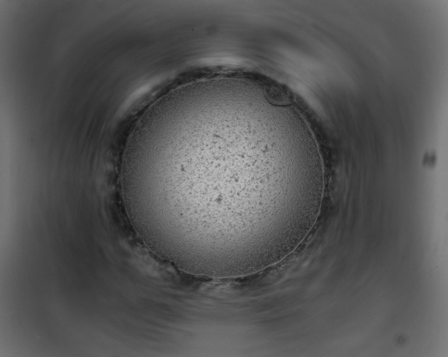 X0000101430967200807141237