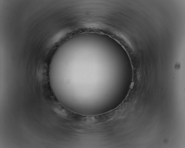 X0000101430968200807141237