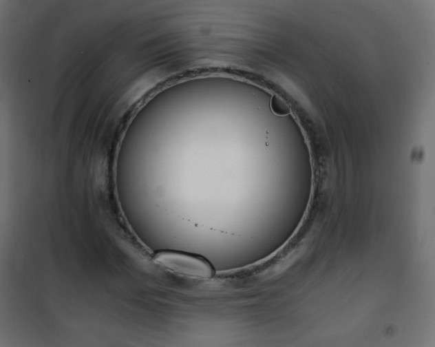 X0000101430969200807141237
