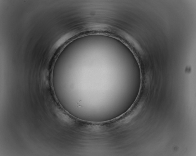 X0000101430970200807141237