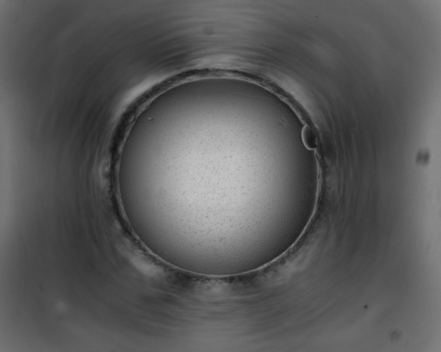 X0000101430971200807141237