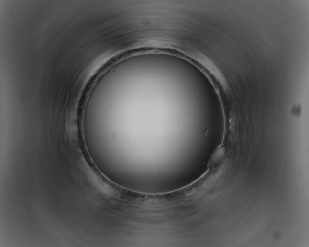 X0000101430972200807141237