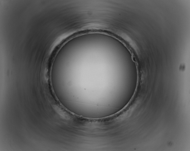 X0000101430973200807141237