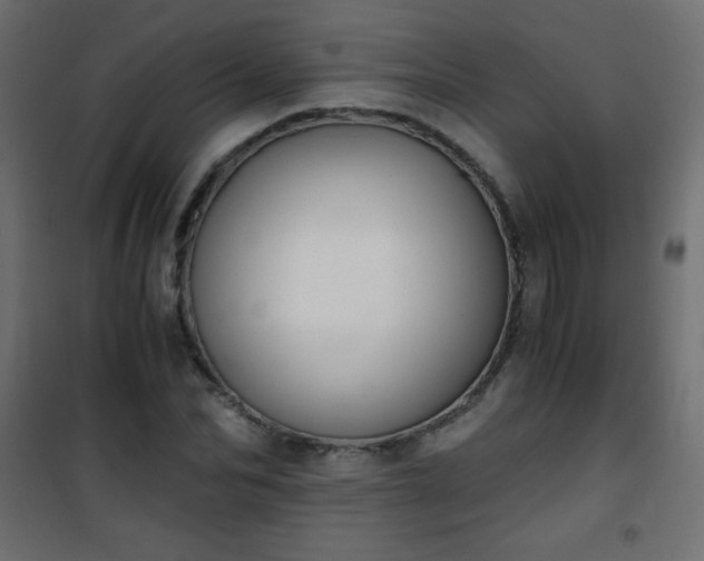 X0000101430974200807141237