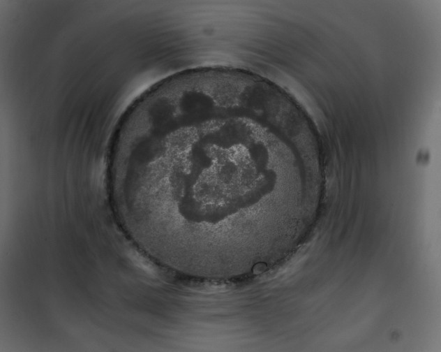X0000101430975200807141237