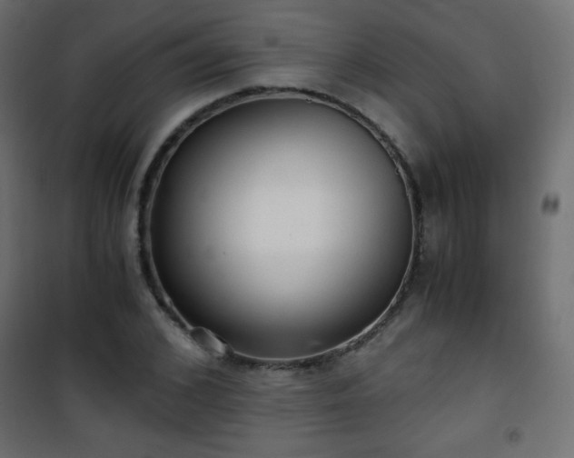 X0000101430976200807141237