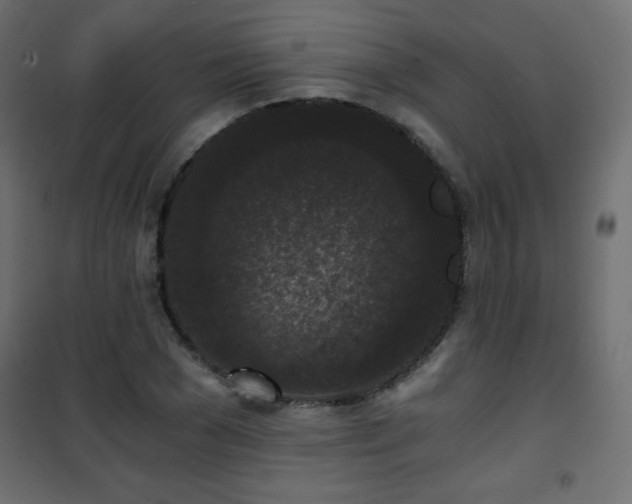 X0000101430977200807141237