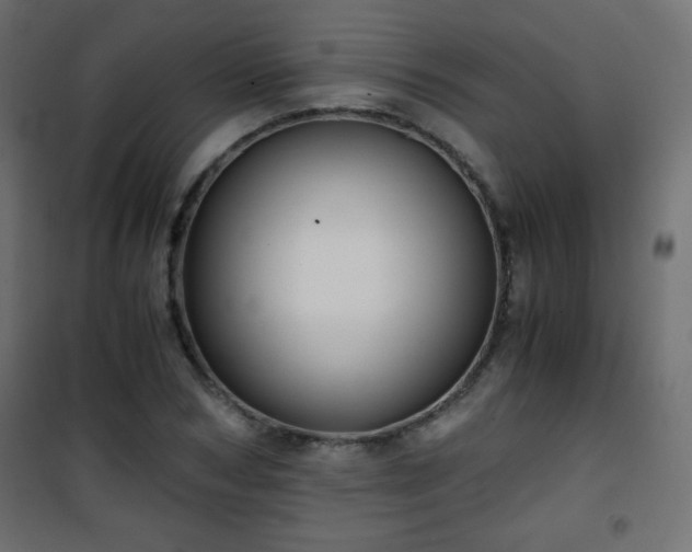 X0000101430978200807141237