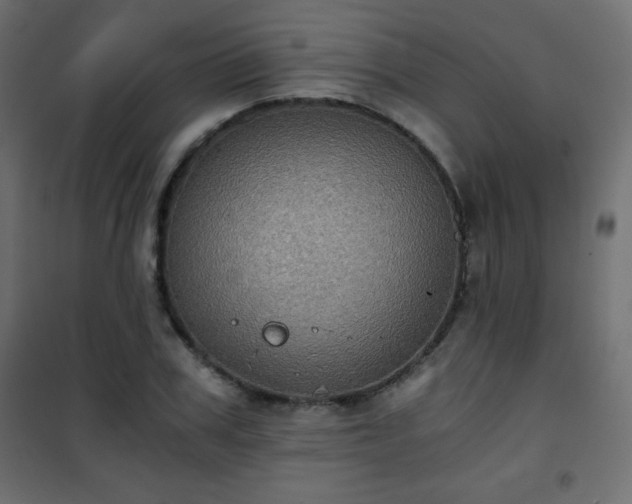 X0000101430979200807141237
