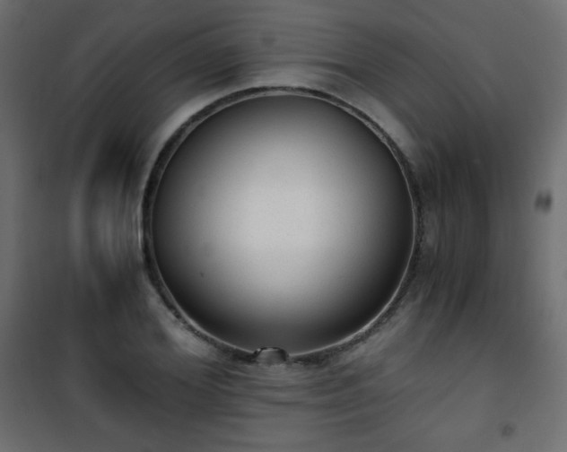 X0000101430980200807141237