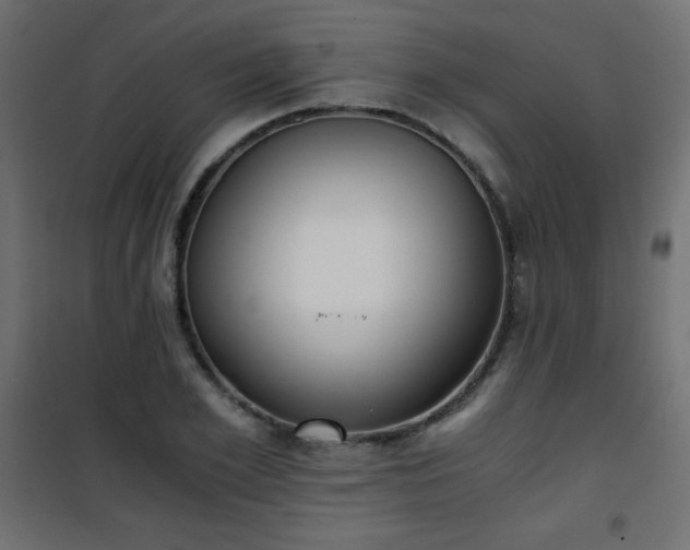X0000101430981200807141237