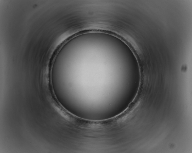 X0000101430982200807141237